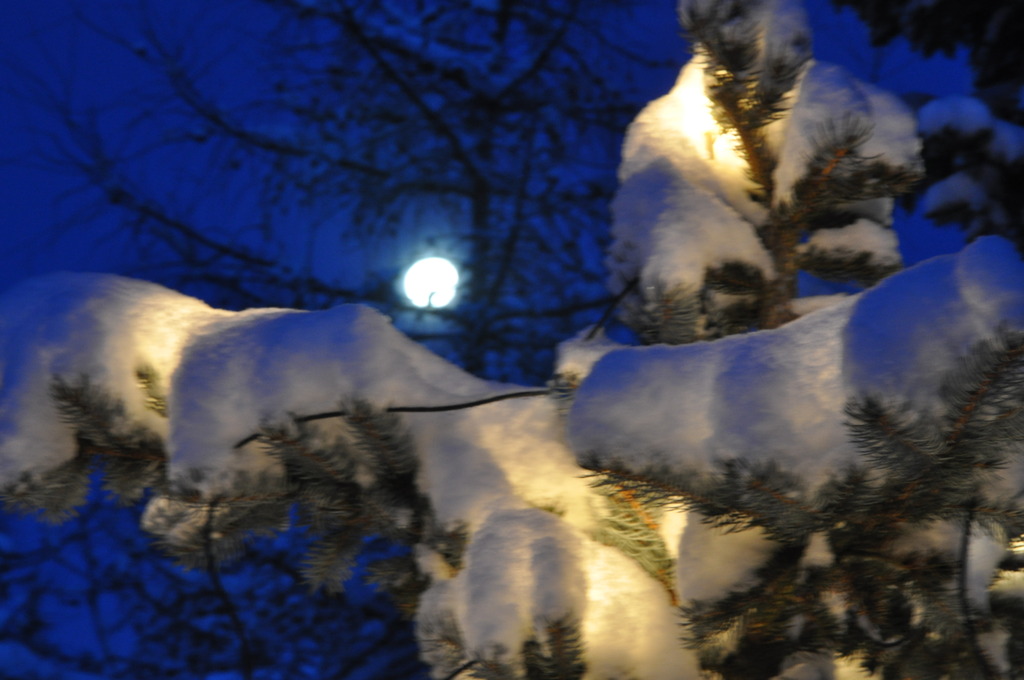 Weihnachten 2010