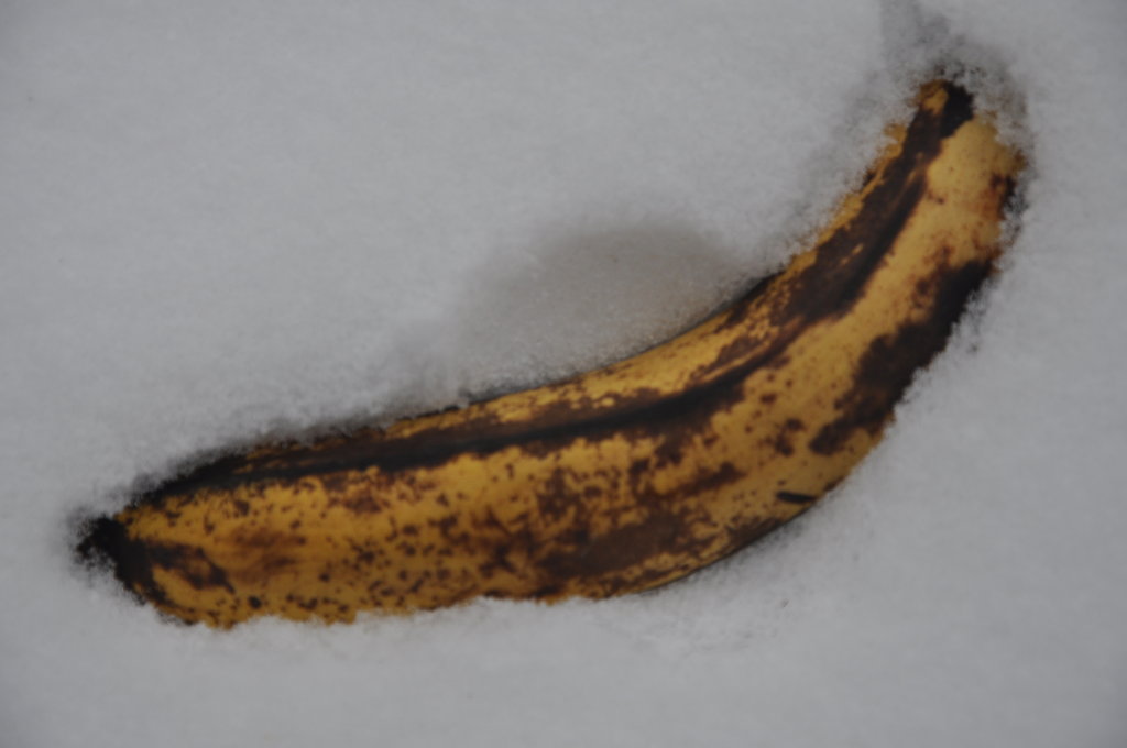 Bananenbürokratie