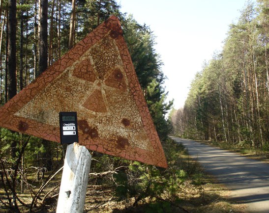 Straße nach Tschernobyl von Filatova, Elena Vladimirovna